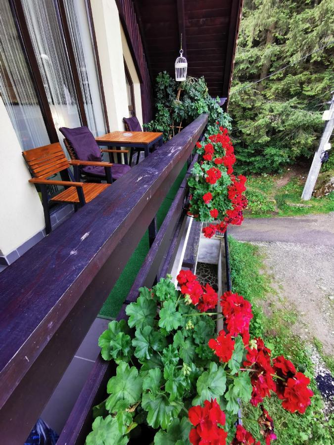 Apartament Kalinderu K1 Busteni Exterior photo
